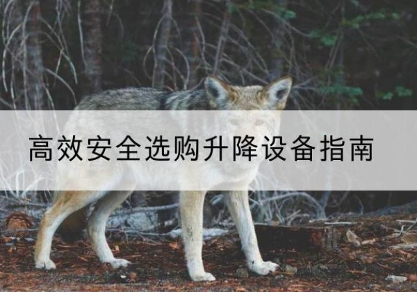 西湖升降货梯厂家推荐-*安全选购升降设备指南